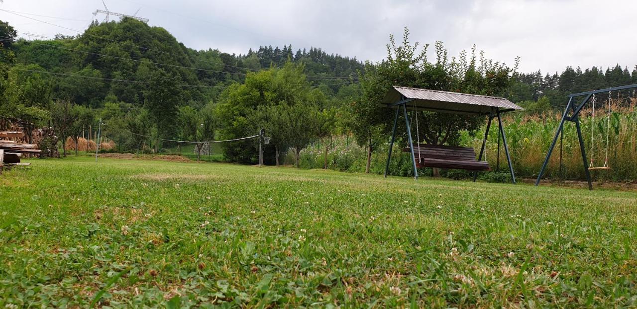 Pensiunea Dor De Munte 阿雷富 外观 照片