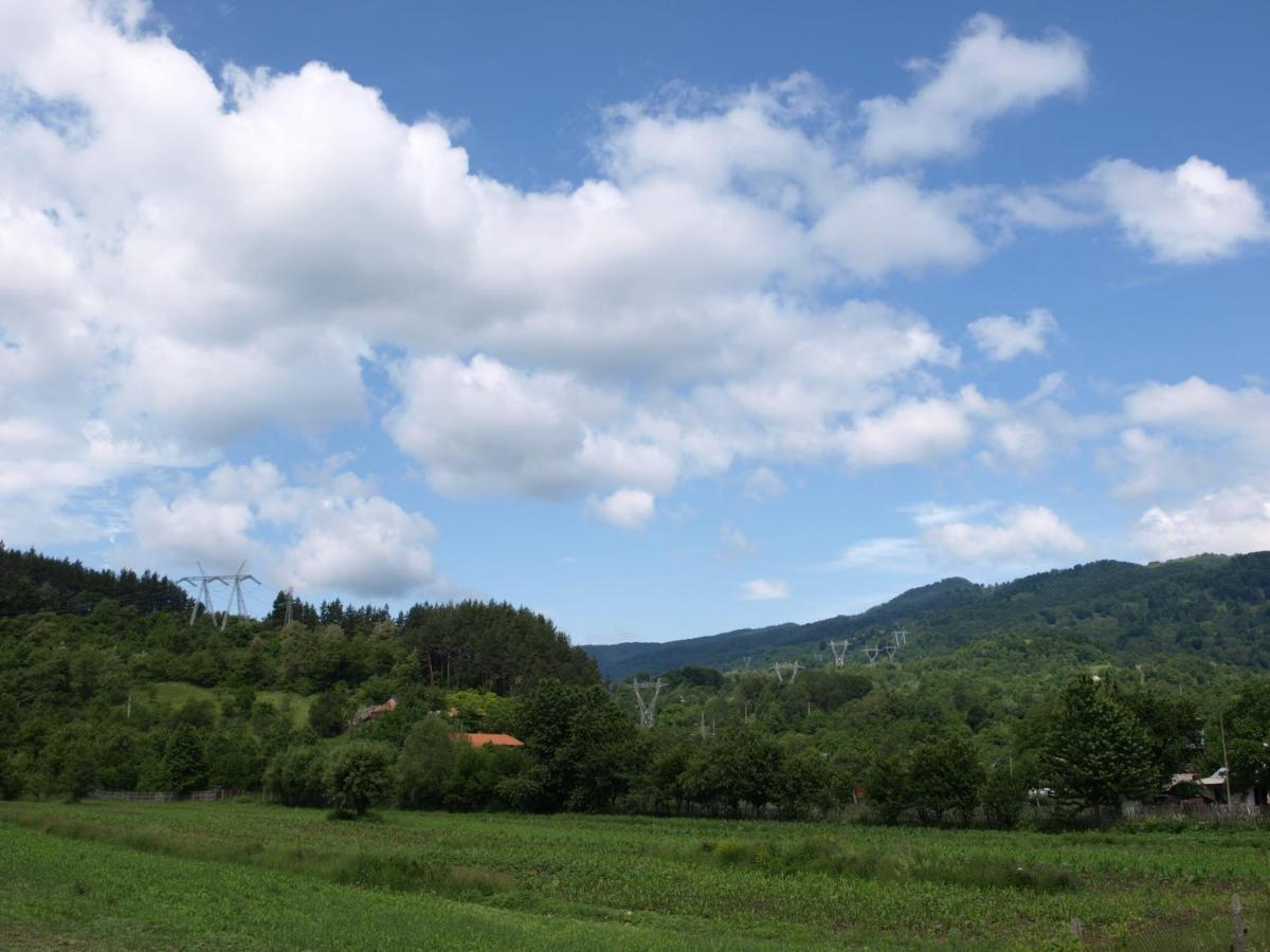 Pensiunea Dor De Munte 阿雷富 外观 照片
